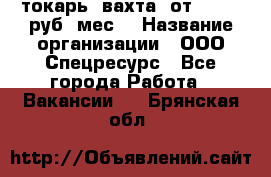 токарь. вахта. от 50 000 руб./мес. › Название организации ­ ООО Спецресурс - Все города Работа » Вакансии   . Брянская обл.